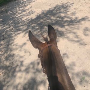 Meet your Posher, Dana